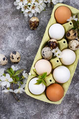 Easter concept. Chicken and quail eggs.