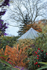Autumn scene in RHS garden Harlow Carr