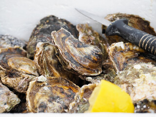 Traditional fish street market stall with freshly caught shell oysters on the seaside. Mediterranean seafood. Fresh organic oyster with lemon and knife. Lifestyle. Soft focus