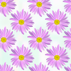 Chamomile flowers. Floral seamless texture of Daisy flower purple color on light blue abstract background,geometric pattern, vector.