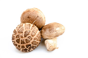 Three mushrooms are placed on a white background.