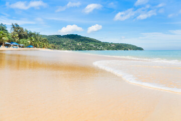 beach with trees