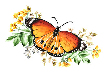 Butterfly with wildflowers and herbs. Summertime concept. Hand drawn watercolor illustration isolated on white background