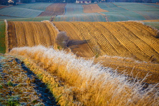 cultivated agricultural fields in autumn sunset. Colorful countryside patchwork