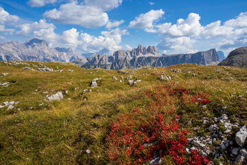 Mountain landscape in the Dolomites around the Cinque Torri.
