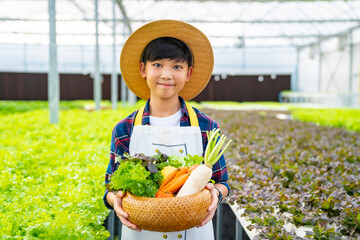 Portrait of little Asian boy farmer holding organic lettuce vegetable in the basket in greenhouse...