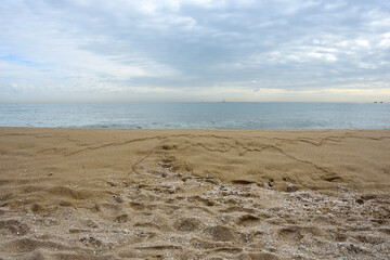 Beach in Barcelona, Spain, Barceloneta Beach