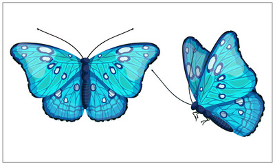 Blue butterfly with white spots. Beautiful summer insect. Cartoon vector graphics.