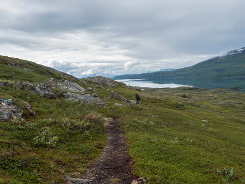 Man hiker with backpack walking at footpath in Lapland landscape at Virihaure lake with green mountains, birch trees and boulders. Sweden summer wild nature, Padjelantaleden hiking trail.