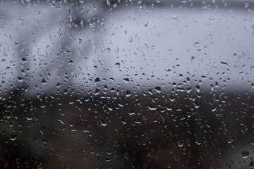 raindrops on the window