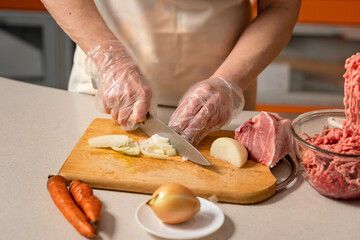 female hands cutting onion for minced meat