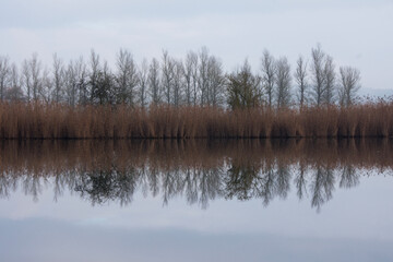 Idyllischer See im Winter, Wasserreflexionen, Schilf
