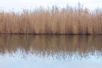 Idyllischer See im Winter, Wasserreflexionen, Schilf