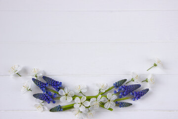 Spring flowers -blue muscari and white cherry flowers , spring banner. Spring white board with space for text. Template for greeting cards for Mother's day, 8 march, Valentine's day, wedding 