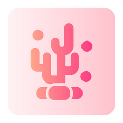 coral gradient icon