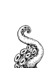 Tentacles drawing on white background 