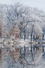 Fototapeten Grau Winter landscape of snow covered trees on the shoreline of Eagle Lake with reflections in calm water, Fort Custer State Park, Michigan, USA  © Dean Pennala