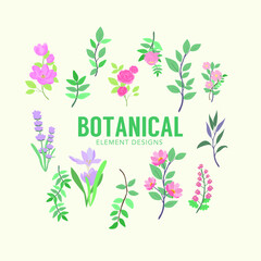 Fototapeta na wymiar vector floral elements. Branches and leaves colors. Herbs and plants collection. Botanical illustrations. Description1