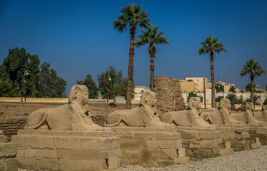 Statuen Luxor Tempel am Nil, Ägypten, Detailansicht