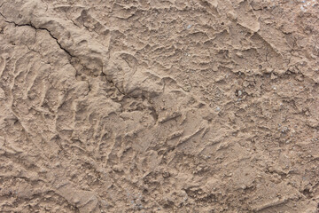 Tire tracks on the ground