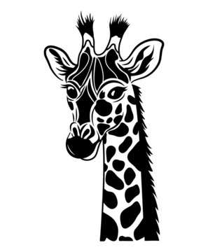 Portrait of a giraffe. Illustration of head giraffe with spots. African animals. Tattoo. Zoo. Drawing for children. 