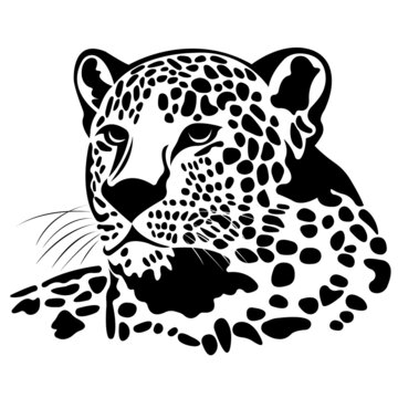 Jaguar head silhouette painted in black with various lines and spots. Cheetah muzzle logo. Vector isolated illustration