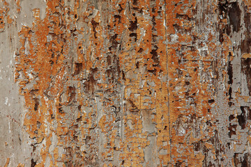 Abstract faded yellow texture with cracks and peeling paint on a wooden door.