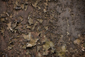 Abstract texture with cracks and peeling painting