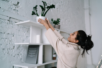 Asian woman putting plant on home shelving at home