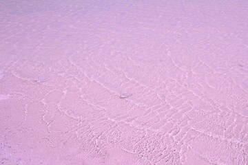 Pink waves on lake shore.