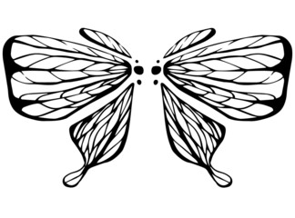 ornament, pattern, linear, stylized, logo, decoration, graphic, element, nature, collection, illustration, tattoo, silhouette, vector, animal, wings, beautiful, fly, decorative, art, wildlife, beauty,