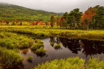 Autumn landscape of Acadia National Park. USA. Maine. Lake among green mountains and autumn trees.