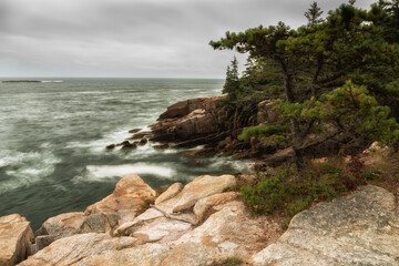 Fototapeta na wymiar Rocky coastline and pine trees on the cliff on the Atlantic Ocean. Acadia National Park. USA. Maine. Long exposure 