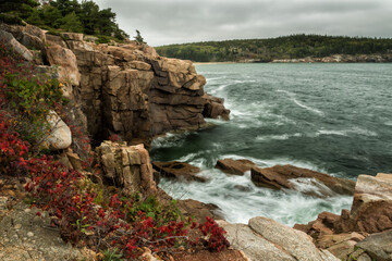 Rocky coastline and pine trees on the cliff on the Atlantic Ocean. Acadia National Park. USA....