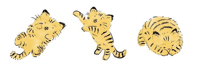 虎猫セット　遊ぶ寝る