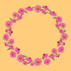 Round frame with herbs and echinacea flowers. Floral botanical background. Template for greeting card, invitation or wedding postcard. Vector illustration in flat style