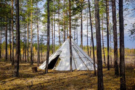 A chum in the taiga is a temporary dwelling used by the nordic people