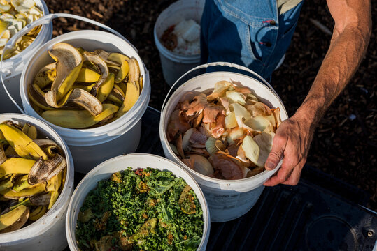 Food waste from local restaurants being repurposed as chicken feed for an urban farm