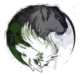 luce e ombra © Anna