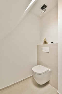 Modern bathroom interior with toilet bowl