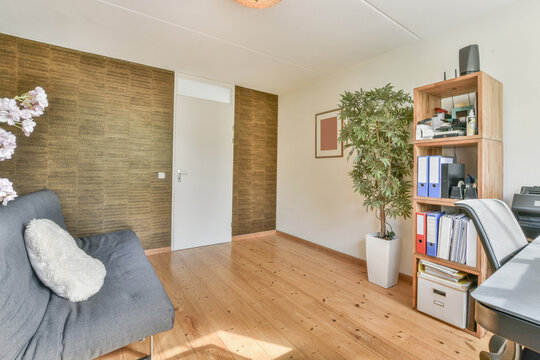 Interior of cozy workroom with sofa and wooden shelf with document folders
