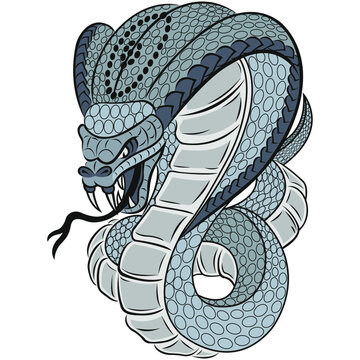 The royal gray snake cobra attacks with an open hood and open mouth. The design is suitable for modern tattoos, prints on t-shirts, emblems for a sports team, animal mascot, logo. Isolated vector