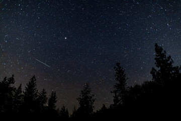 Northern Taurids Meteor Shower Landscape