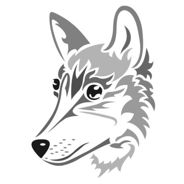 The silhouette, the contour of the muzzle of the wolf in gray on a white background are drawn with different lines. Animal wolf head logo. Vector isolated illustration