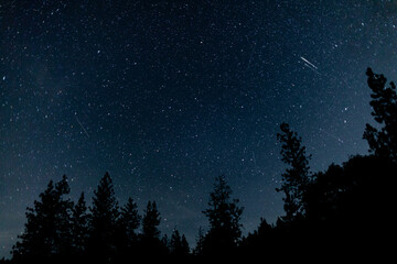 Orionids Meteor Shower Landscape