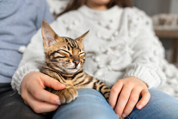 Bengal cat in the living room on the couch with children © Louis-Paul Photo