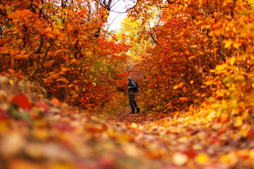 The guy walks through the autumn forest, a narrow path, yellow and red leaves.