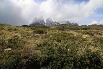 Photo sur Plexiglas Cuernos del Paine Paysage de Patagonie avec Cuernos del Paine en arrière-plan, Chili