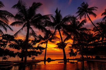 Magic Colorful Sunset in ko Samui, Thailand - obrazy, fototapety, plakaty