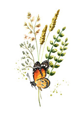 Wild  grasses and  wildflowers  . Color Summer rural composition, bouquet, decor concept. Hand drawn watercolor illustration isolated on white background